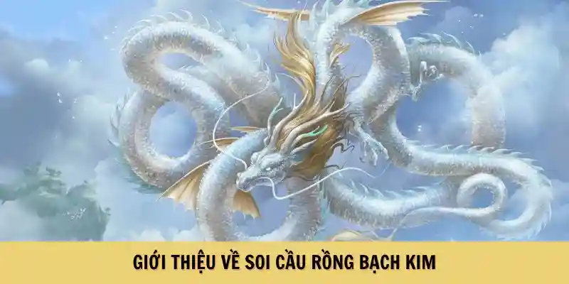Giới thiệu cơ bản về rồng bạch kim